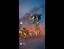 柴犬大戦争