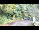 国道494号　(面河渓→西条)