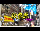【アキバVlog】めがねと秋葉原ぶらり旅！ついにNova Proを買いました！　パート1