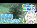 【夏休み旅行祭】悪天候の中、西伊豆にダイビング！【ルウル】