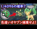 ポケモンZA 確率1/4096？色違いオヤブンリーフィア登場！フレンドボールで捕獲せよ！今作もオシャボ登場確定！ひかるおまもり無し！ポケモンレジェンズZA 攻略 【メイルス】