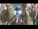 アドマイヤクワッズ　2歳新馬