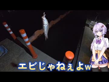 【VOICEROIDフィッシング・手長エビ釣り】１年ぶりの手長エビ釣りに行ってみたら・・・