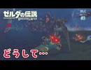 【ゼルダの伝説BotW DLC】再びハイラルの地！新たな試練に挑戦する#3【実況】
