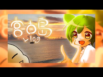 【宮古島】はじめてのSUP【後編】