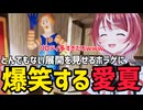 【ヴイアラ切り抜き】とんでもない展開を見せるホラゲに爆笑する灯里愛夏【vα-liv】