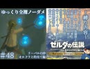 『9種の縛りプレイ＃48』ノーダメージでリーバルの詩の攻略を始める全裸リンク【ゼルダの伝説ブレスオブザワイルドswitch２エディション/ゆっくり実況】