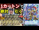 激レアの"カオス・ソルジャー"を1カートンで絶対引く男