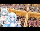 2025年10月18日　農作業日誌P1517　里芋を追加掘りしてみかん屋さんに持っていくよ