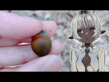 どんぐり」 - ニコニコ動画
