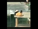 かゆかゆパンダ