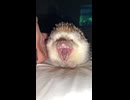 ちょっとこわい