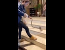 へびつかい