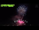 第38回やつしろ全国花火競技大会 スターマイン「星降る夜」