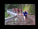 AIカツドン　旅行編