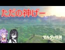 もう8年前何ですか！？（ブレワイ実況）