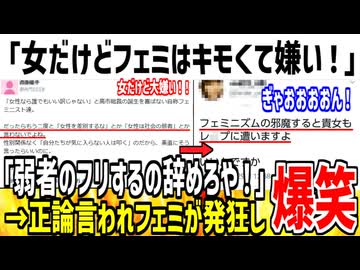 【フェミ発狂】X女性「女だけどツイフェミはキモくて嫌いです。」➡︎フェミ集団「ぎゃおおおおん！」