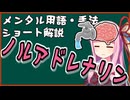 メンタル用語・手法解説「ノルアドレナリン」ロング版