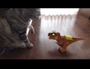 未知との接触