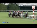 ブラウンバナナ　2歳新馬