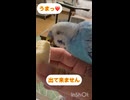 うまっ❤️