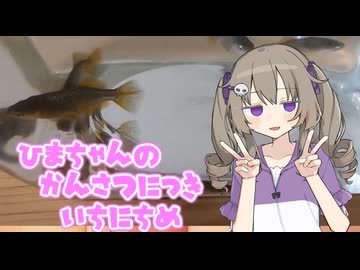 ひまちゃんの観察日記（1日目）