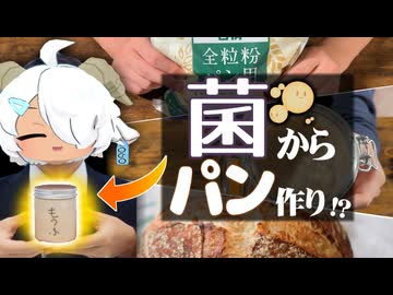 愛でて良し、食べても良しの最強ペット “菌”