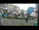旗の共演　ライラック　第七回越谷よさこいソーラン祭り