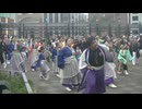 総踊り　よっちょれ　第七回越谷よさこいソーラン祭り