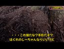 (落ち着かない山事情）変態忍者の、有害鳥獣駆除従事活動記・その３４９