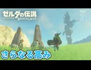 【ゼルダの伝説BotW DLC】再びハイラルの地！新たな試練に挑戦する#4【実況】