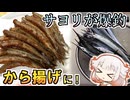 シーズン到来！サヨリが爆釣したのでから揚げにする【ONEのいきぬき魚釣り】