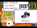 どこでもいっしょ トロと流れ星 実況 part17【最強伝説究極ノンケ冒険記】