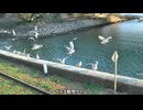 天浜線乗りに行くやつ