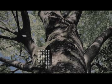 【朗読】薄皮【VOICEVOX:WhiteCUL】