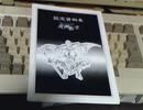 第5回　PC88版　デジタル・デビル物語　女神転生　ニコ生にて　（迷子放送）