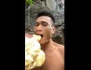ホモと見る山で見つけたものを片っ端から食らう男