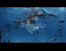 Freediver Woman Underwater in Tropical Blue Ocean Swims with the Nurse Sharks and Tropical Fishes
