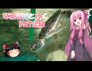 琴葉姉妹と行く釣行記録（車載編part36 60）