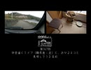 【第367回】田舎道ドライブ（難易度：並）と、おひるネコと、美味しそうな名前