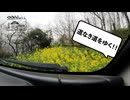 【第369回】田舎道ドライブ（難易度：激難）と、寝起きネコと、カジカガエル