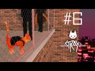 【刀剣乱舞偽実況】政宗組が猫と廃都市をめぐる #6【stray】