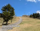 morning breeze【instrument】