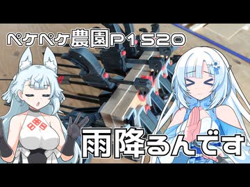 2025年10月21日　農作業日誌P1520　予定外の雨なので木工細工をせざる得ない！ベンチ作るよ！