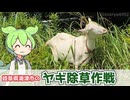 【岐阜県海津市】堤防の除草作業にヤギを投入