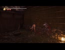 PC-PGP配信《忍者龍劍傳2：黑》新游戲(二周目)-上忍-第五章 (2)
