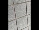 78278377256__4213E380-3E2E-4535-9540-8D9E946849E3