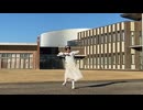【しめじ】バタフライ・グラフィティ　踊ってみた