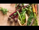 Vegetables and herbs changing one after another.田中鉄也オンド.com