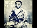 Muddy Waters - I'm Your Hoochie Coochie Man
